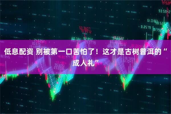 低息配资 别被第一口苦怕了！这才是古树普洱的“成人礼”